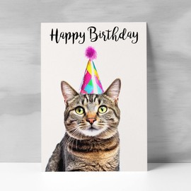 Postcard Prints - Birthday Card For Her Card For Friend Mum or Sister Birthday Card For Him Brother Dad Happy Birthday Card of Tabby Cat Fun Birthday Card