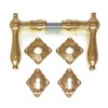 Antikas Door Handle Pair Polished Brass with Rosettes Nostalgia for