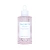 Skin Angel Madagascar Centella Poreizing Fresh Ampoule 100ml x 2