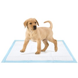 GLOW Pack of 10 Puppy Training Pads – Super Absorbent Quick Dry Urine Pee Poo Poop Waste Wee Surface with Leakproof Design and Plastic Lining – For Small Dogs - Protect Flooring and Carpets