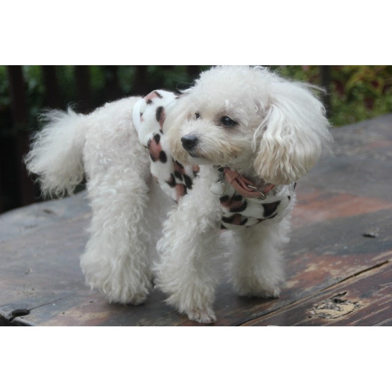 RIOSTUDIO Dog Vest, Puppy Sizes Available, Dog Clothes, Fall, Winter,
