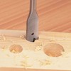 Trend Snappy 30mm Diameter Flat Bit with Centre Point &