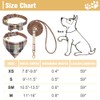 EXPAWLORER Dog Collar and Leash Set - Embroidery Pawprints Plaid