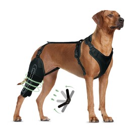 LISPOO Dog Knee Brace for Torn Acl Hind Leg, Luxating Patella, Cruciate Ligament, Dog Acl Knee Brace Support Back Leg with Arthritis Pain, Acl Brace for Dogs Rear Leg (M)