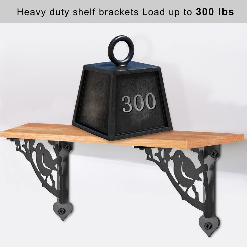 SELEWARE Heavy Duty Shelf Brackets 10 Inch, Bird Shelves Brackets,