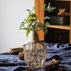 MDLUU Glass Jug with Twine 10" Tall, Flower Vase with
