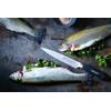 F. DICK ActiveCut Filetiermesser (Klingenlänge 18 cm, Küchenmesser, Klinge X30Cr13