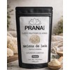 Melena de León Polvo Puro 100g