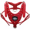 haoyueer Red Leather Studded Dog Harness Collar & Lead Set