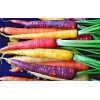 Southeast Seeds Rainbow Carrot Blend Mix, Seeds, Colorful, NON-GMO, Beta