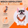 Dog Harness with Dog Lead Set, Air Mesh Breathable Chest