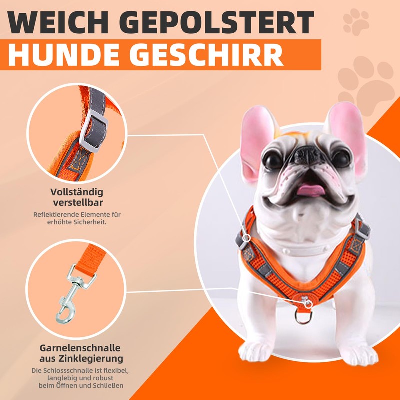 Dog Harness with Dog Lead Set, Air Mesh Breathable Chest