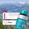 Biosuple Cardo Mariano Alcachofa Complejo Herbal Extractos Naturales Suplemento Alimenticio