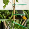 Pack of 100 Cable Ties Green Cable Ties for Garden