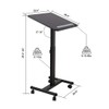 Flexispot MT3 Mobile Standing Desk Sit-Stand Pneumatic Adjustable Height Laptop