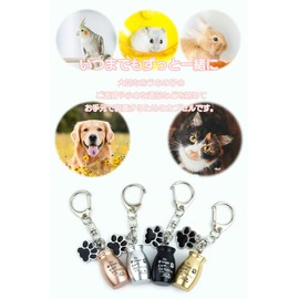 prendre PR-MORIAL Pet Urn Capsule Mini Capsule Key Holder Freestanding Urn Memorial Pet Buddha Nascan Paw Charm, Silver