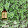 Wuvezrub Thyme Essential Oils 240ML, Pure Thyme Essential Oil for
