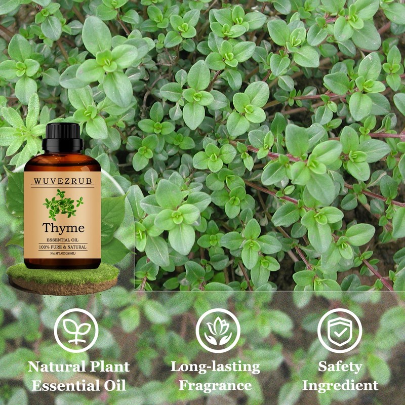 Wuvezrub Thyme Essential Oils 240ML, Pure Thyme Essential Oil for