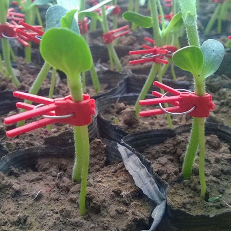 Plants Graft Clips, 100PCS Reusable Round Fixing Rings, Grafting Clips