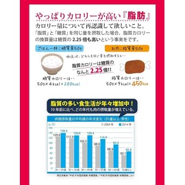 ファイバーショット10包3袋αシクロデキストリン 難消化性デキストリン 乳酸菌 ビフィズス菌 スティックタイプ