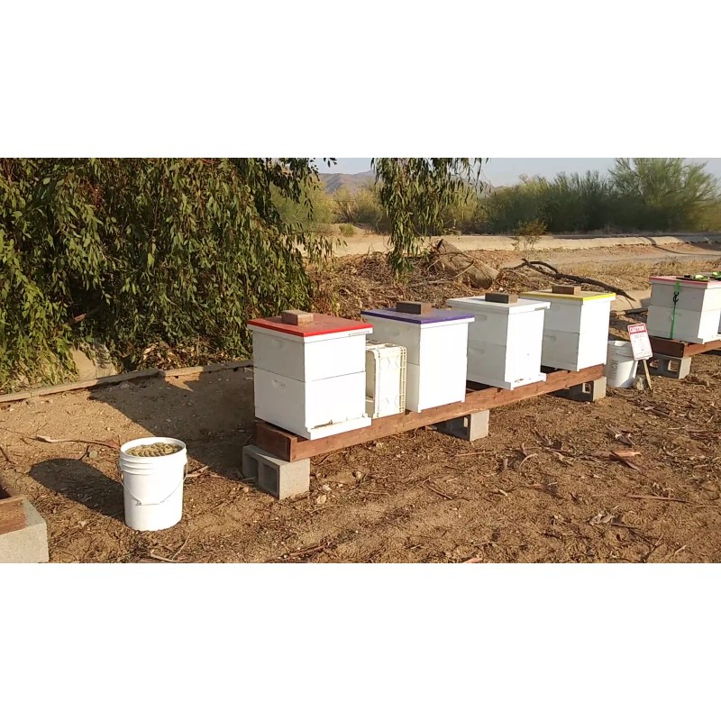 Honey, Mesquite Honey by Honey Hive Farms, Only the finest