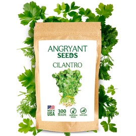 Cilantro Seeds for Planting Herb Garden - Heirloom, Non-GMO Seeds - 100% USA Grown - Easy to Grow - Pack Includes 300 Seeds Suitable for Indoors, Outdoors and Hydroponic - High Germination Rate