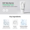 zipiderm [zipiderm]EGF Skin Barrier Cleansing Foam 120ml