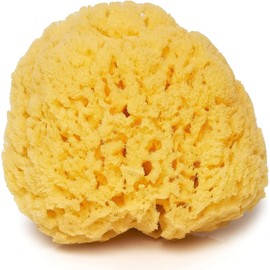 Natural Yellow Sea Grass Sponge 5 Inch Perfect for Bath, Shower and Body Care Softly Rough but not skin irritating Lathers & Washes Really Well
