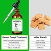 Oimmal Natural Antibiotic for Dogs Allergy Relief Apple Dog Itch