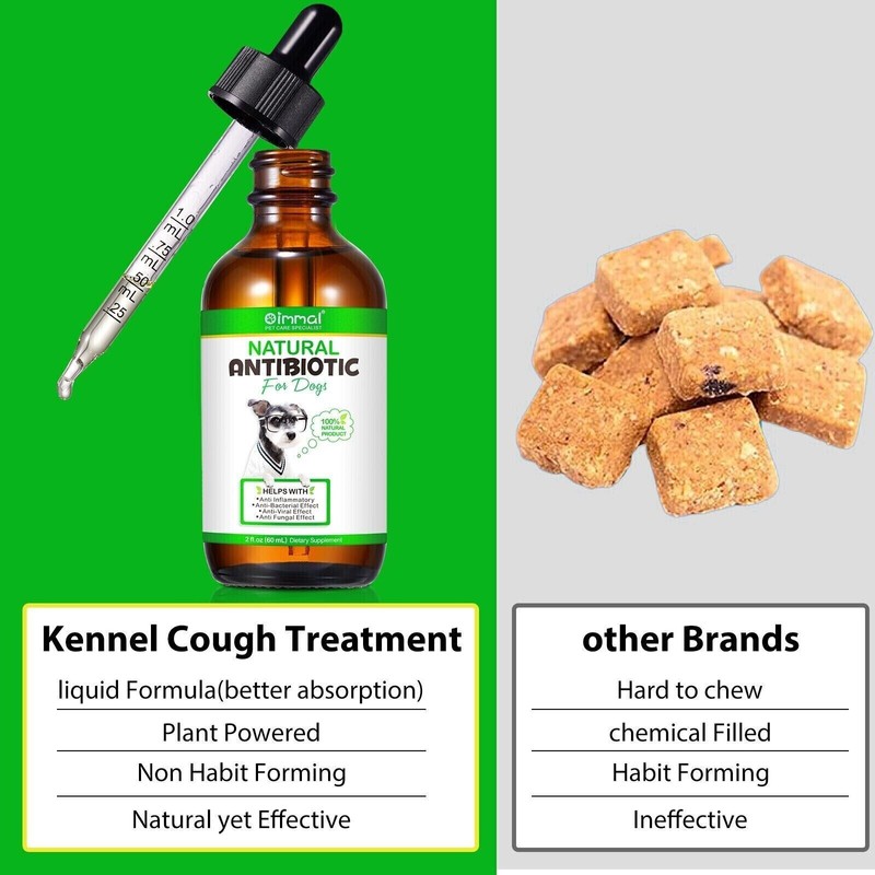 Oimmal Natural Antibiotic for Dogs Allergy Relief Apple Dog Itch