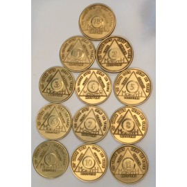 Complete Months Set (12 Total) Bronze AA (Alcoholics Anonymous) - Sober / Sobriety / Birthday / Anniversary / Recovery / Medallion / Coin / Chip