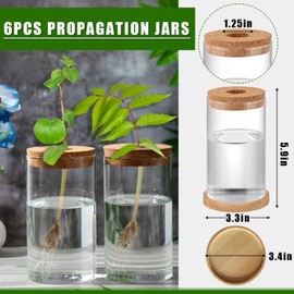 6 Pcs Plant Terrarium Desktop Glass Planter Plant Propagation Tabletop Propagation Vase Containers with Cork and Wooden Saucer for Growing Hydroponic Plants Garden Home Office Decor (2.56 x 4 Inch)
