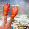 Archie McPhee Finger Lobster Claws Pack of 2