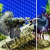 Fish Tank Divider Clear 30/40/50/65/75/90/125/150 Gallon Aquarium Divider with Suction
