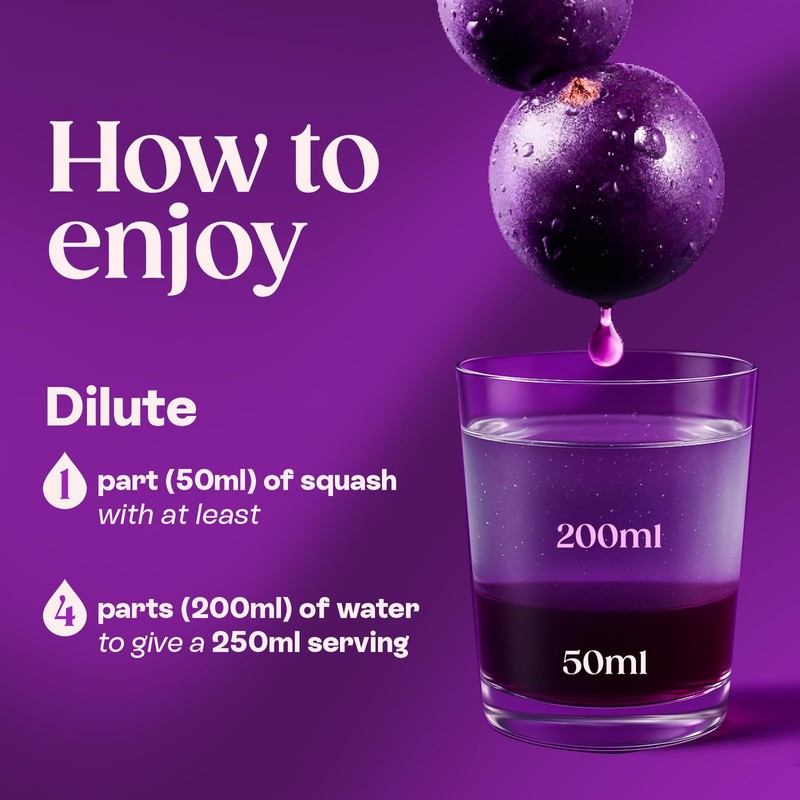 Ribena Blackcurrant Juice 28.74 Ounce