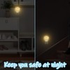 AKKAVNIA Coconut Palms Night Light Plug-in Wall Decorative Night Lamp