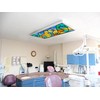 Fluorescent Light Cover for Classroom Ceiling Lights - Premium Backlit