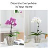 Meshpot 5 inch Clear Plastic Orchid Pots with Holes and