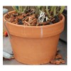 Orchid Nerd Galvanized Rhizome Clip for Clay Pot (4 Inch