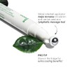 innisfree Green Tea Hyaluronic Acid Hydrating Eye Serum: Nourish, Soothe,