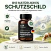 Fermented Colostrum Capsules Pack of 180 - Organic Colostrum from