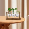 Fenteer Terrarium Planter Hydroponics Plant Holder with 3 Heart Shaped
