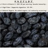Unsweetened Dried Black Currants (14 oz) No Sugar Added, No