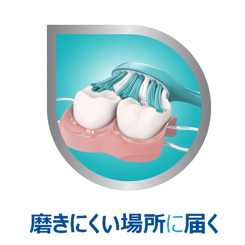 Polident Denture and Mouthpiece Specific Brush (Color cannot be selected)