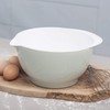 Zeal G206G Mixing Bowl, Sage Green