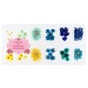 Princessstyle Nail & Resin Parts, Dried Flower Parts (Summer Color