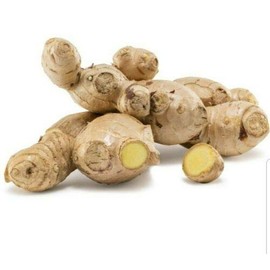 EliteKoopers 100g Organic Fresh Natural Ginger Roots For Whole Spices