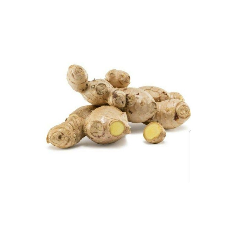 EliteKoopers 100g Organic Fresh Natural Ginger Roots For Whole Spices
