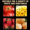Stainless Steel Strawberry Huller and Tomato Stem Corer Tool Multi-Function