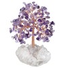 Nupuyai Amethyst Crystal Tree of Life Gemstone Feng Shui Tree